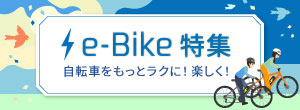 e-Bikeý