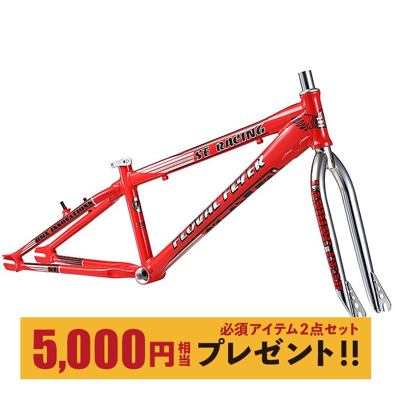 SE BIKES（エスイーバイクス）FLOVAL FLYER XL 24 FRAME （フローバル