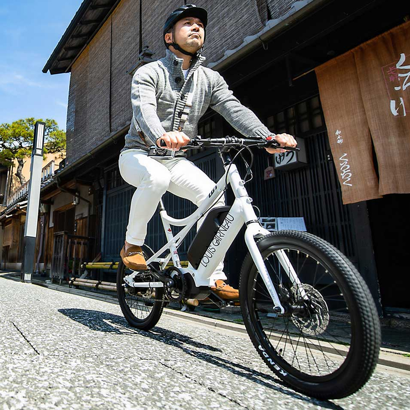 LOUIS GARNEAU(ルイガノ)2023年モデル EASEL INTER5E Di2 (イーゼル LOUIS GARNEAU(ルイガノ)2023年モデル EASEL INTER5E Di2 (イーゼル