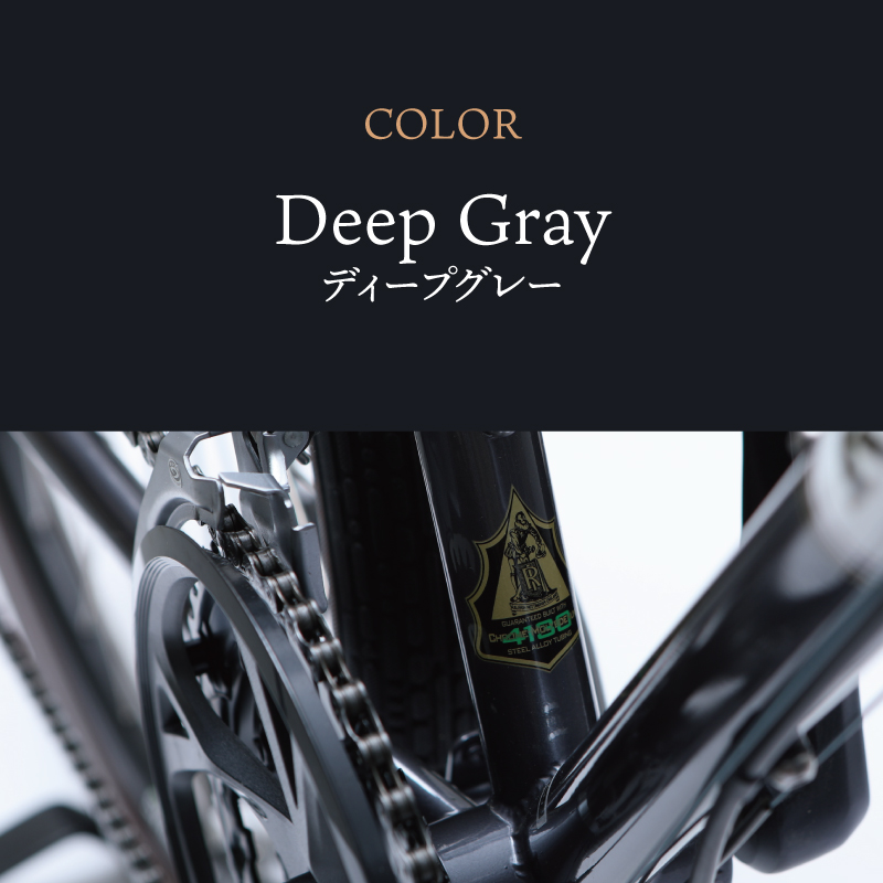 Raleigh（ラレー）2021年モデル RADFORD-FATTY （ラドフォード