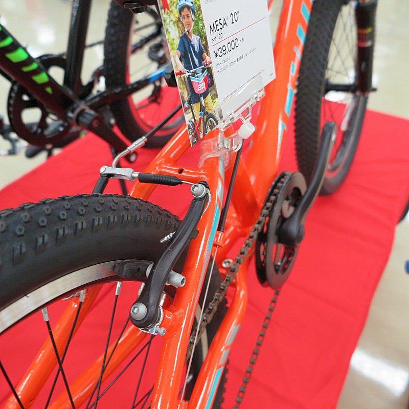 SCHWINN（シュウィン） 2019年モデル MESA20 （メサ20） [子供
