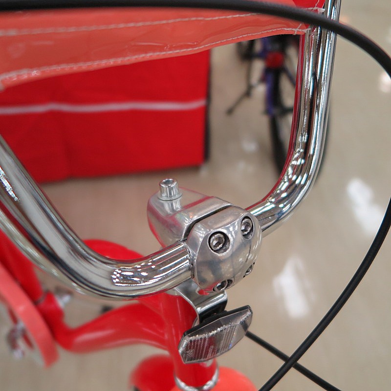 SCHWINN（シュウィン） 2019年モデル STARDUST （スターダスト） [子供