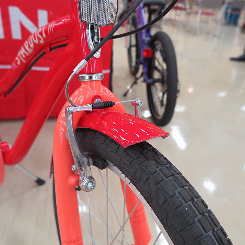 SCHWINN（シュウィン） 2019年モデル STARDUST （スターダスト） [子供