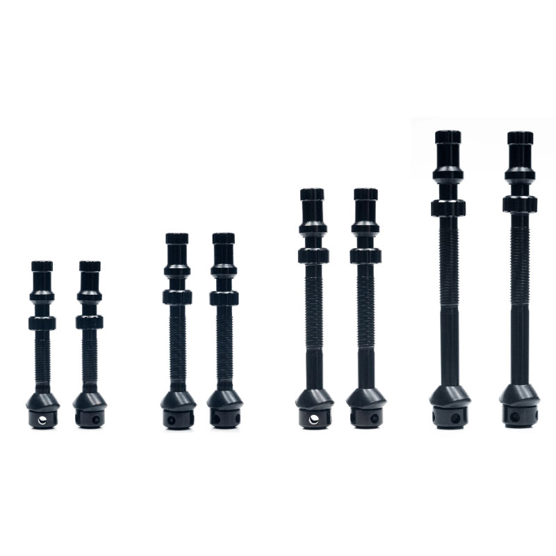 Stan's NoTubes（スタンズノーチューブス）UNIVERSAL+ VALVE SET